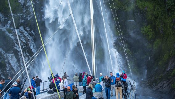 New Zealand South Island Milford Sound Sightseeing Cruise - Visit Fiordland National Park - Mitre Peak / Bowen Falls / Stirling Falls / Wildlife - New Zealand Must-visit R