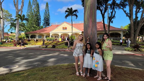 Vườn thực vật và thác nước Waimea cùng Kualoa Ranch