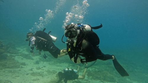 2 Dives for Certified Divers in Fujairah with lunch & transfer 2