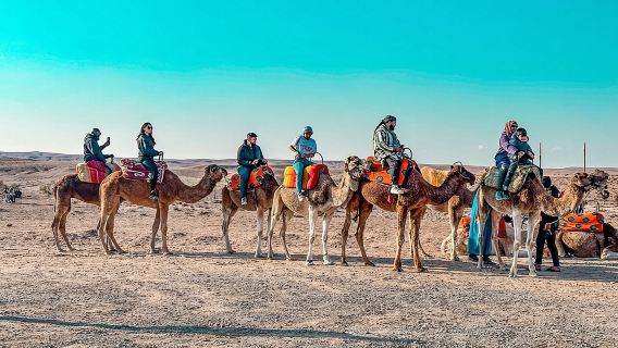 Agafay Desert Dinner & Camel Ride from Marrakech