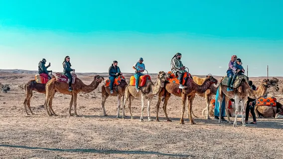 Agafay Desert Dinner & Camel Ride from Marrakech