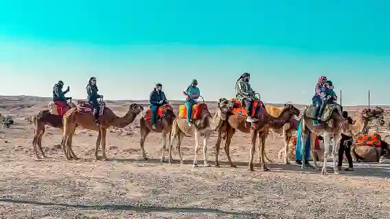 Agafay Desert Dinner & Camel Ride from Marrakech