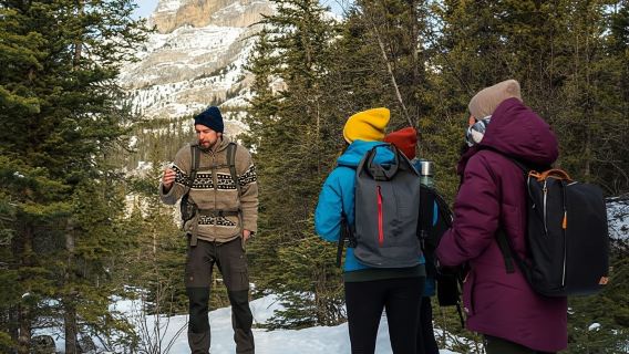 Canmore: Entdecken Sie die Spuren der Winterwildtiere – 2-stündiger Naturspaziergang