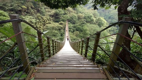 山林秘境妖怪村全覽溪頭之旅