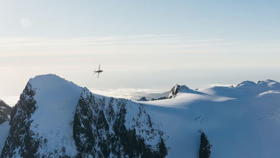Từ Queenstown: Chuyến bay ngắm cảnh sông băng Josef và chuyến đi bộ có hướng dẫn