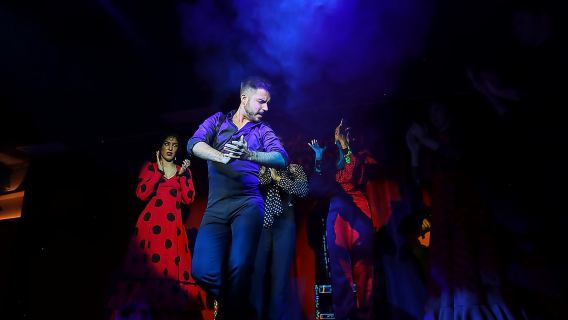 Seville: Flamenco Show Ticket at Tablao Flamenco Las Setas