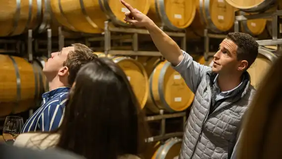 從舊金山出發：終極納帕和索諾瑪葡萄酒之旅