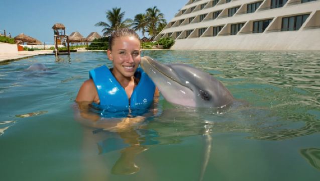 Punta Cancun: Swim with dolphins Primax