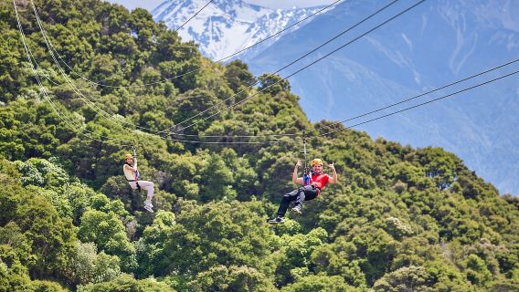 Kaikōura: Zipline dan Perjalanan Pengembaraan Hutan Asli