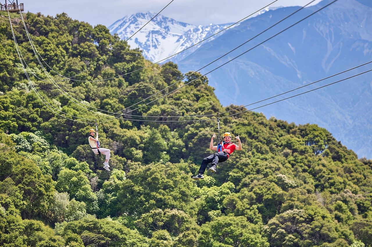 Kaikōura: Zipline and Native Forest Adventure Trip