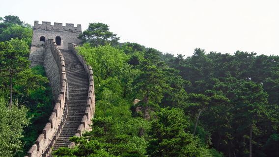 Beijing: Badaling Great Wall Tour with Guide & Transport