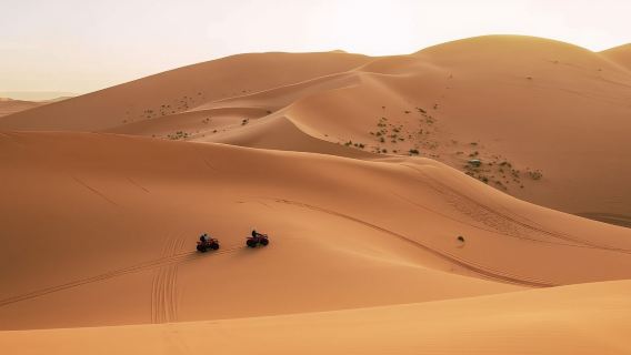 From Ica: Ica desert quad tour