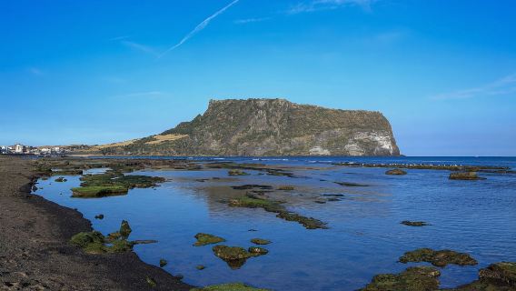 Jeju Island Small Group Day Tour - East