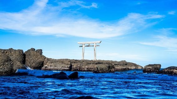 東京発 国営ひたち海浜公園と海鮮市場のプライベート日帰りツアー（写真スポット付き）