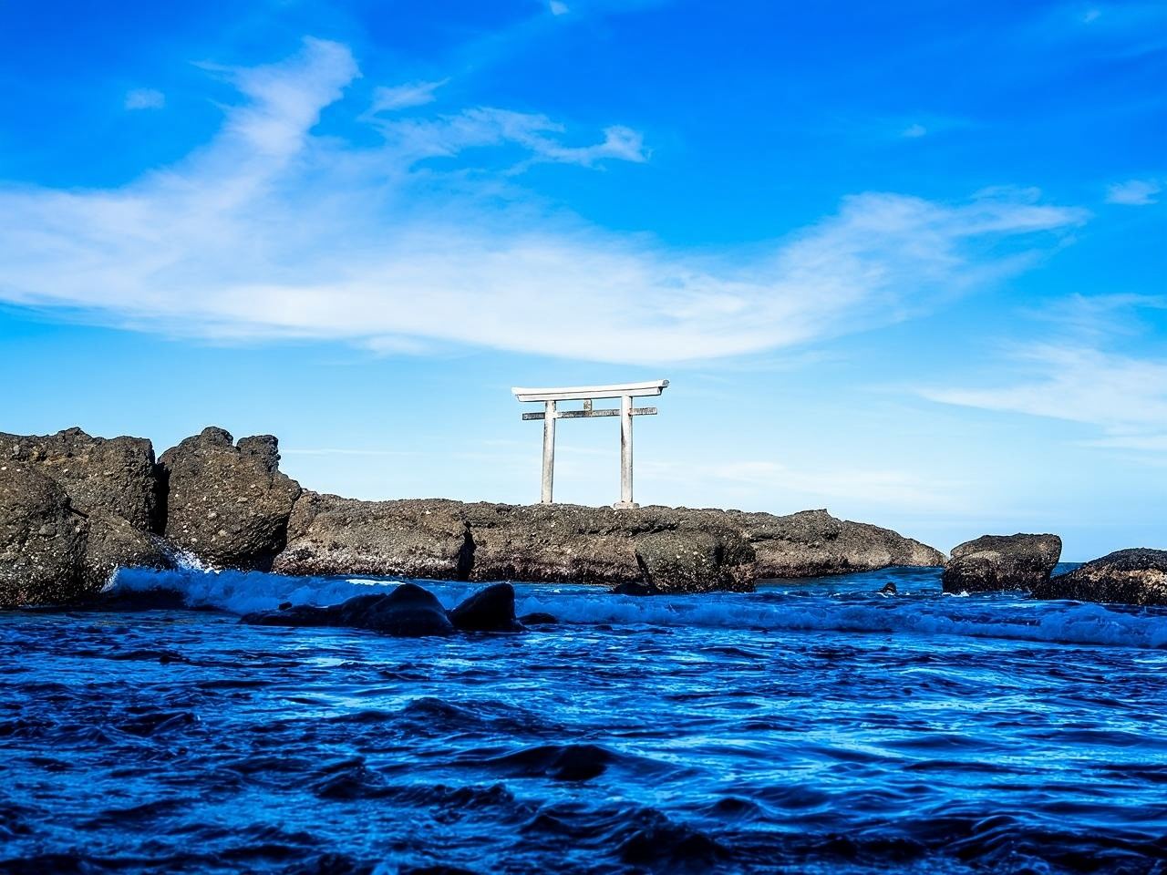 東京発 国営ひたち海浜公園と海鮮市場のプライベート日帰りツアー（写真スポット付き）
