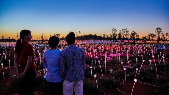 Uluru (Ayers Rock) Field of Light Sunrise Tour