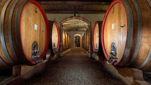 Langhe (Piedmont): Wine Tasting Experience