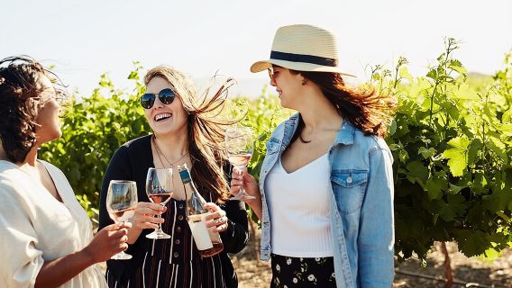 Cape Winelands Explore Full Day Tour with Private Transfer