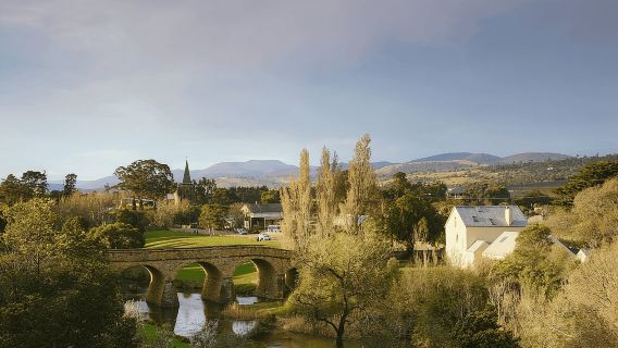 Richmond Village Shuttle