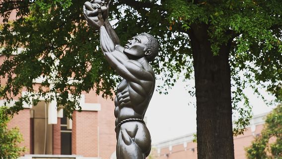 Private Atlanta History Tour From Civil War to Civil Rights