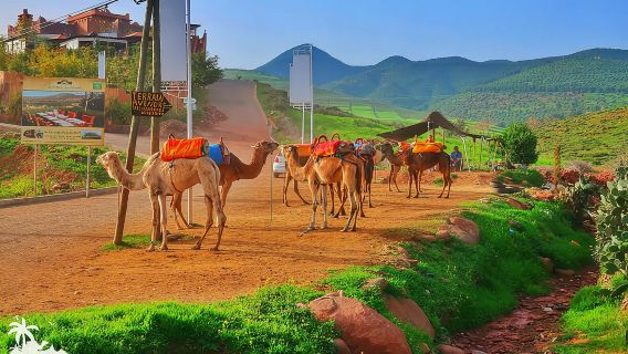 Perjalanan Sehari Pribadi ke Pegunungan Atlas