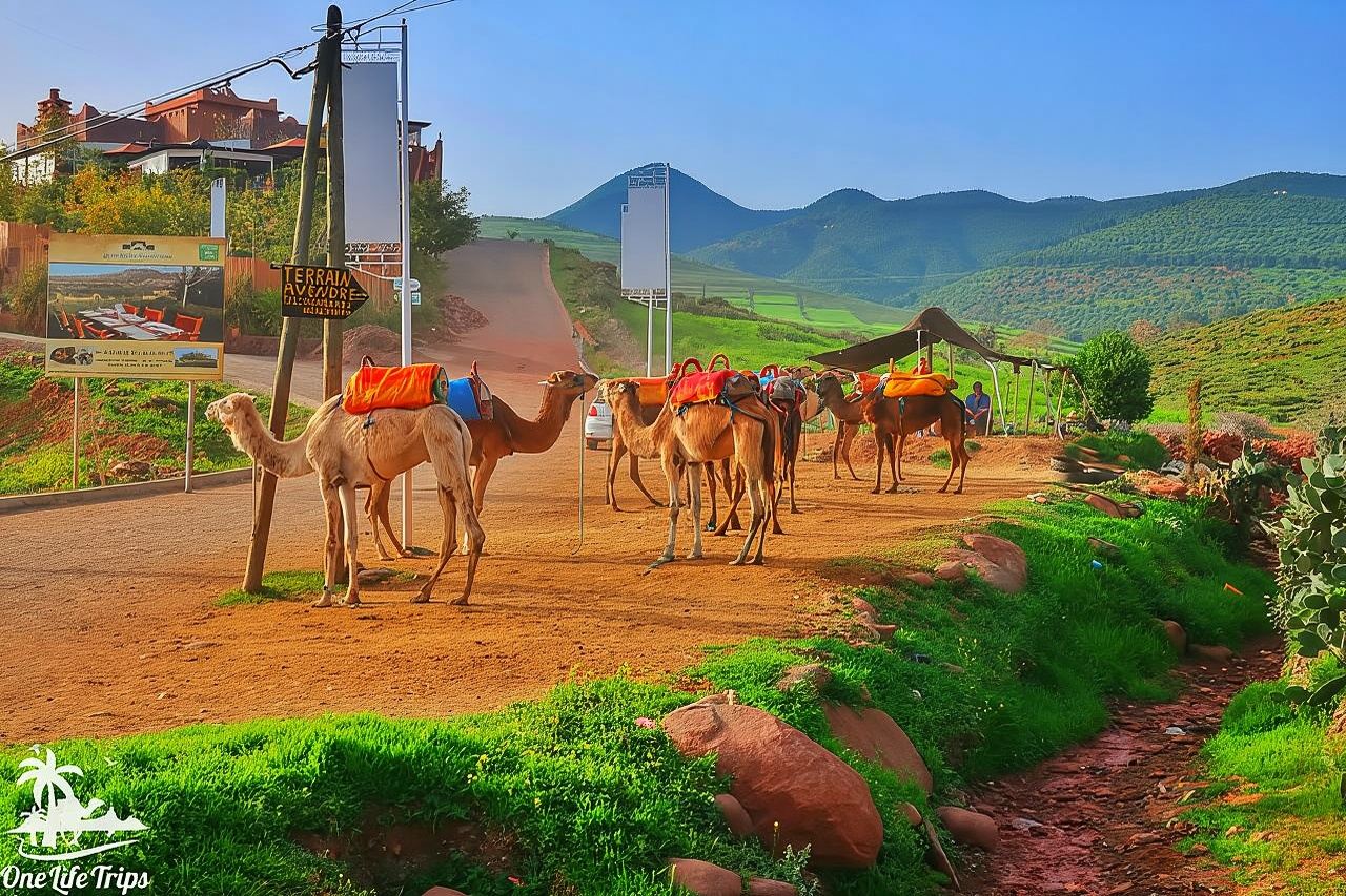 Gita privata di un giorno alle montagne dell'Atlante