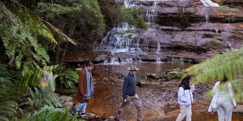 悉尼:豪華藍山探險小型團日遊