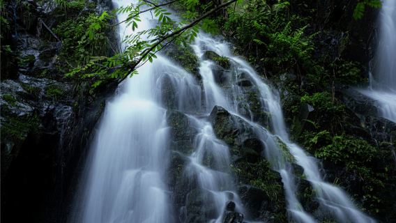 Private guided day tour from Wuyuan to Wangxian Valley and Huangling Mountain