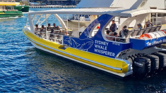 シドニー ホエールウォッチングクルーズ「Whale Whisperer」【特別価格 ダーリングハーバー発】