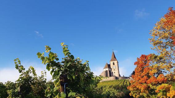 Half-day afternoon tour of Hunawihr, Riquewihr and wine tasting