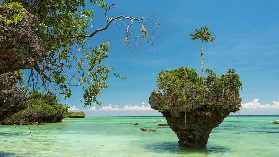 Private Tour to Uzi Island from The Mora Zanzibar