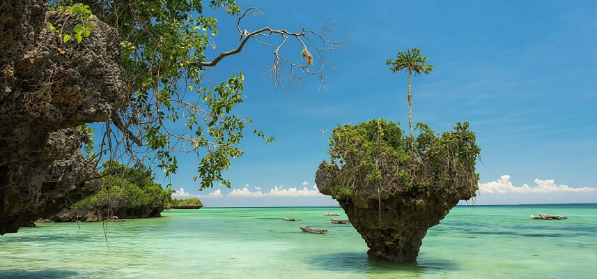 Private Tour to Uzi Island from The Mora Zanzibar