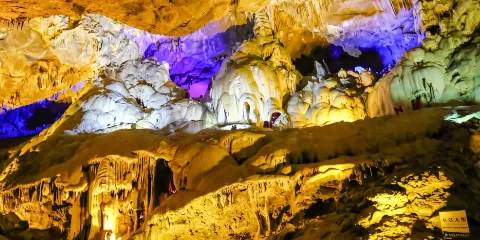 本溪+水洞+旱洞+地質博物館+硅化木石園+小市一莊+生態休閒