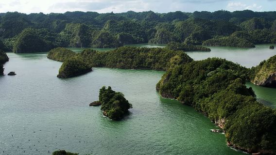 Excursión Los Haitises + Cayo Levantado (Isla Bacardí) desde Santo Domingo