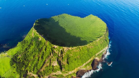 Jeju East Coast|Seongsan Ilchulbong X Seopjikoji X Haenyeo Museum X Snoopy Park