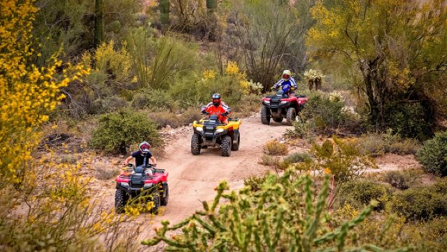 Guided Arizona Desert Tour by ATV - Centipede Tour