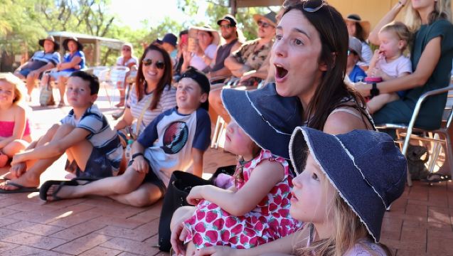 Malcolm Douglas Crocodile Park Tour Including Transportation