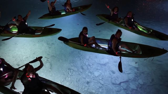 Night Kayak Tour St. John - Westin Resort