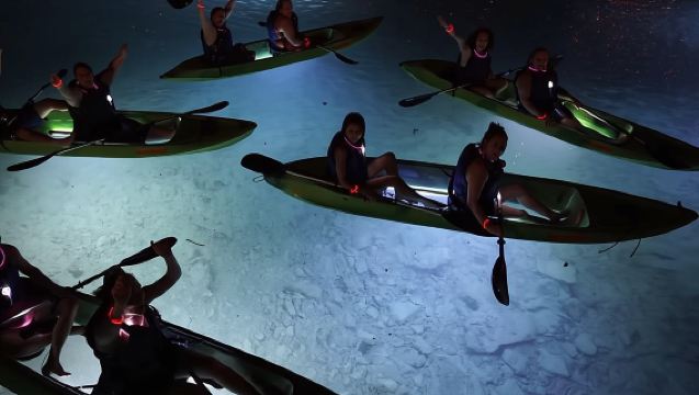 Night Kayak Tour St. John - Westin Resort