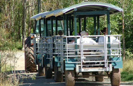 聖靈群島鱷魚探險之旅