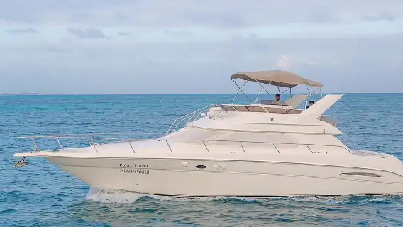 Cancun Yacht Tour - SEARAY YACHT 46 FT GREAT FOR SUNSET 15 PEOPLE MAX 25P9