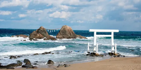 宮崎駿動漫櫻花:日本糸島+千如寺+龍貓森林步道+夫婦岩一日遊