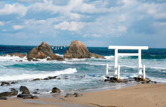 宮崎駿動漫櫻花:日本糸島+千如寺+龍貓森林步道+夫婦岩一日遊