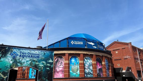 Città del Capo: tour per piccoli gruppi di Mother City con prelievo in hotel