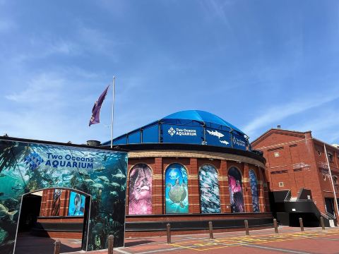 ทัวร์ส่วนตัวชมนกและชิมไวน์ Two Oceans Aquarium World