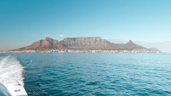 Cape Town: Robben Island Ferry Tour with 1-Way Hotel Pickup