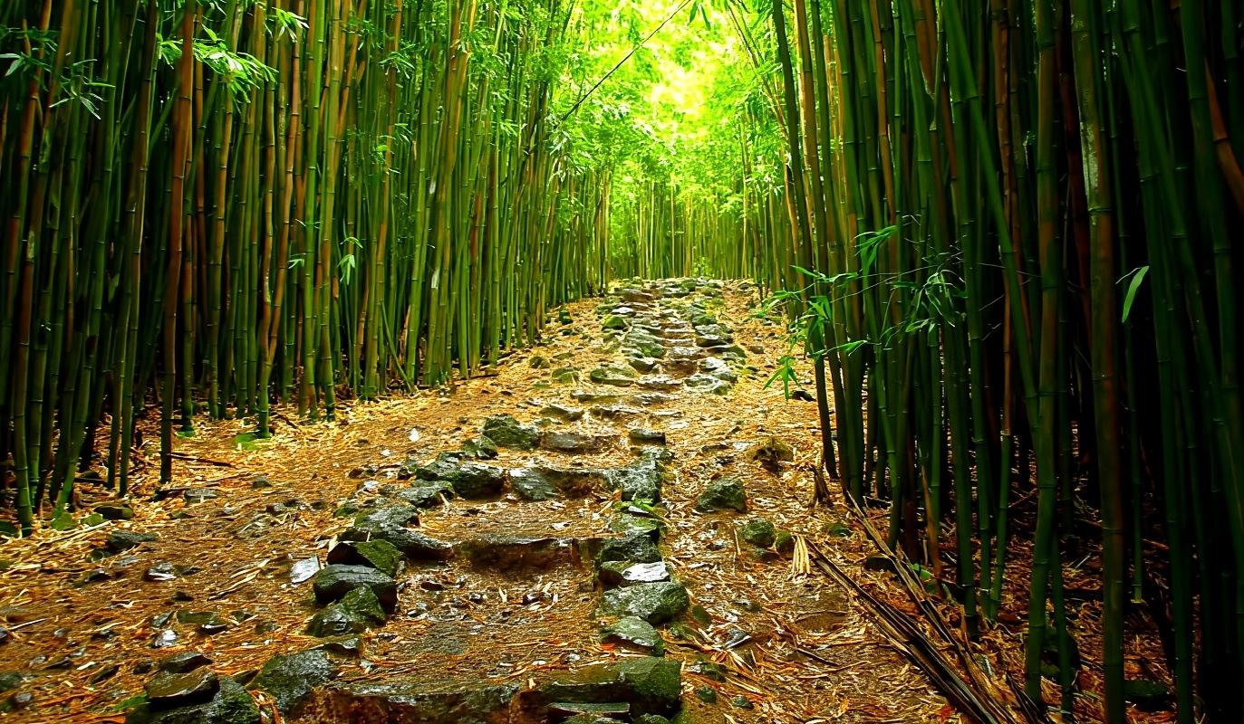 Maui: Hana-Wanderung mit Mittagessen