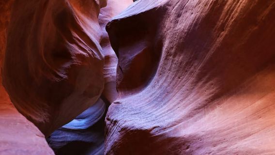 East Zion: Crimson Slot Canyon Exploration and UTV Tour