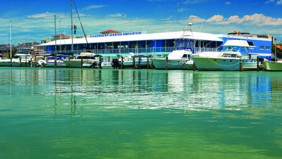 From Orlando: Clearwater Beach and Marine Aquarium Admission