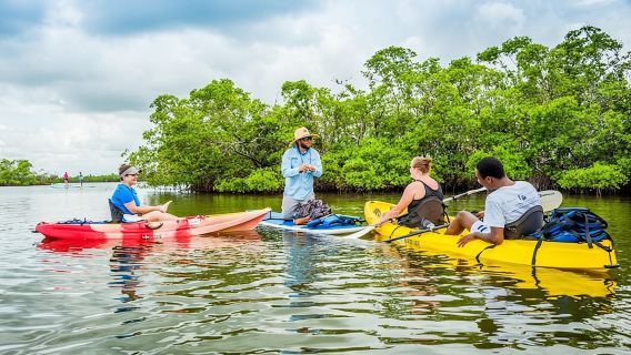 เกาะมาร์โค: ทัวร์ป่าชายเลนแบบพายเรือคายักในเขตอนุรักษ์อ่าวรูคเกอรี่